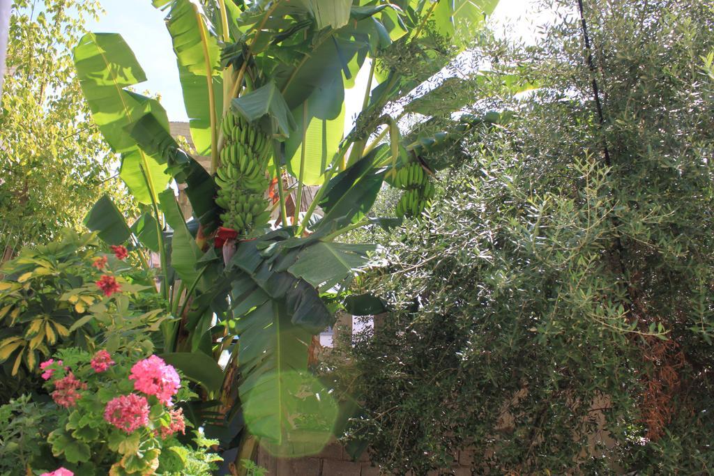 Villa Mucho Sarande Luaran gambar
